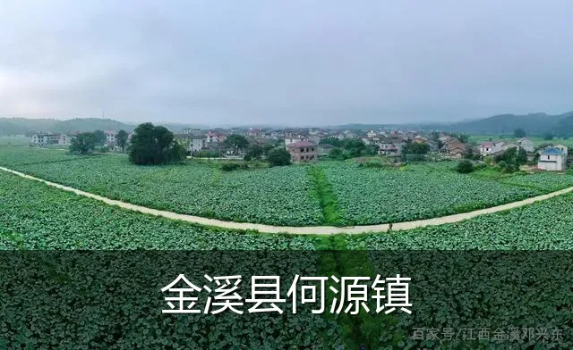 金溪县何源镇
