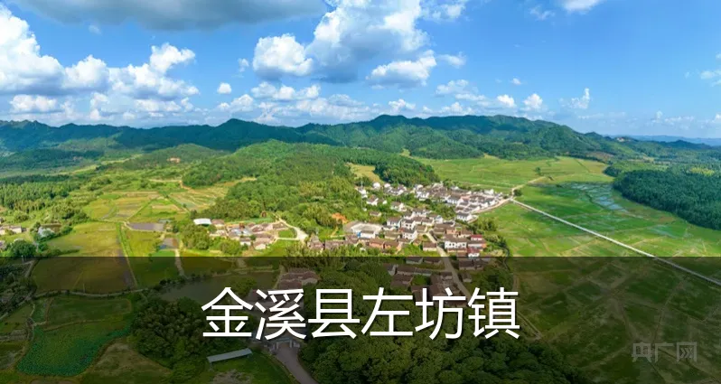 金溪县左坊镇